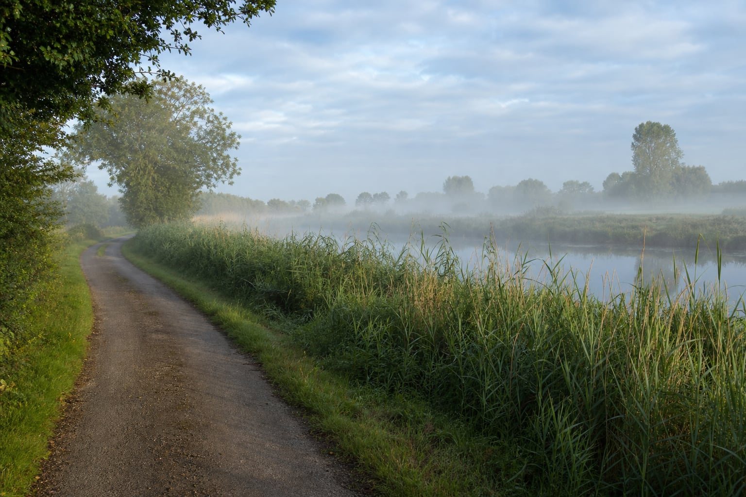 Fen-edge countryside lane in West Norfolk