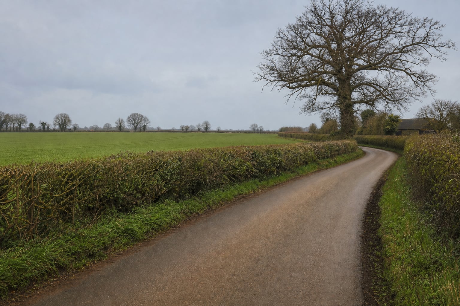 West Norfolk countryside lane near a rural property