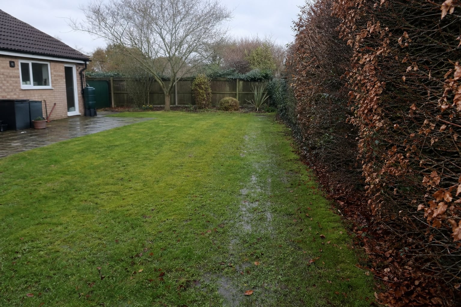 Drainage Field Assessment — Plant lids and garden setting after the visit