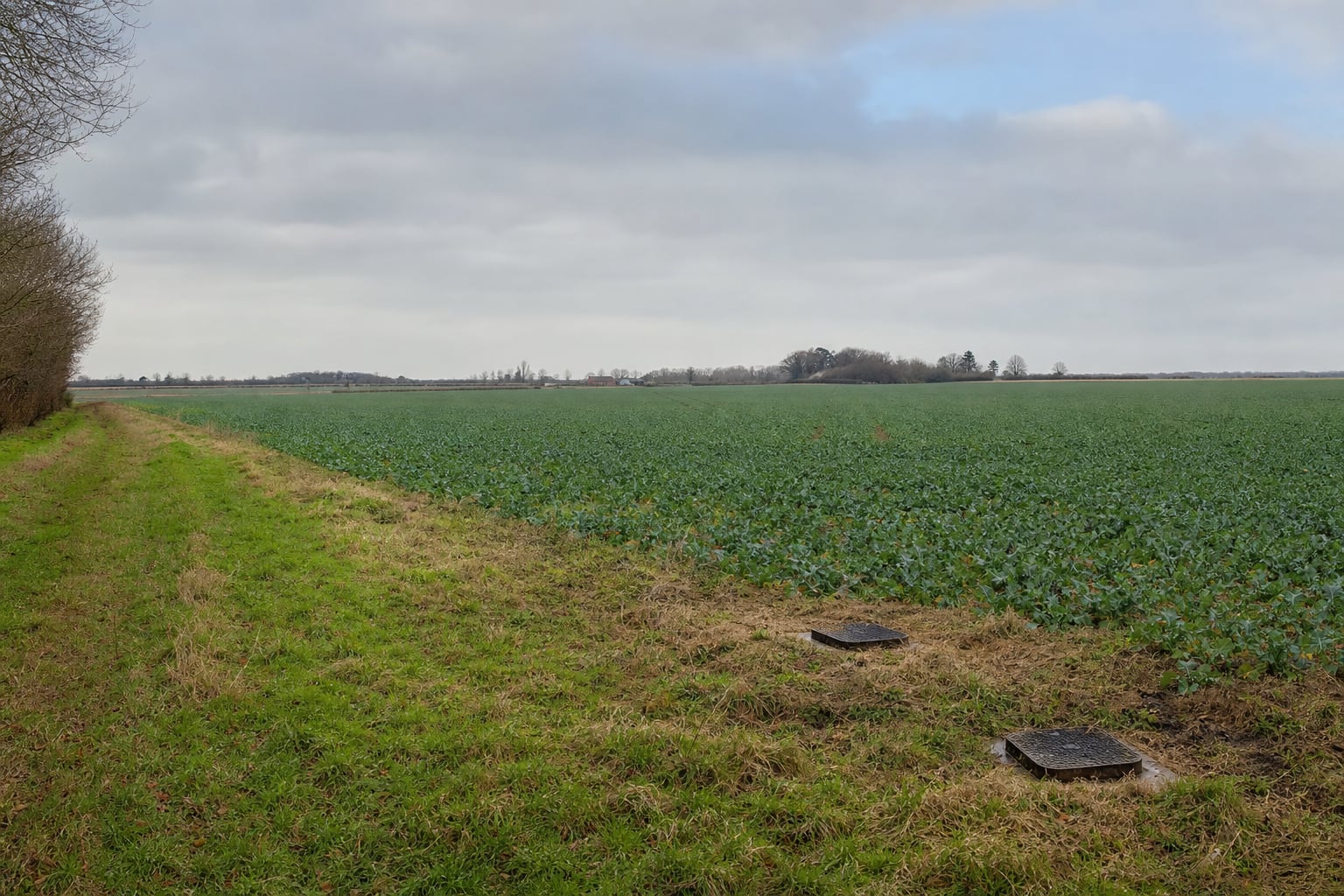 Discreet Plant Service — Countryside setting with discrete drainage covers