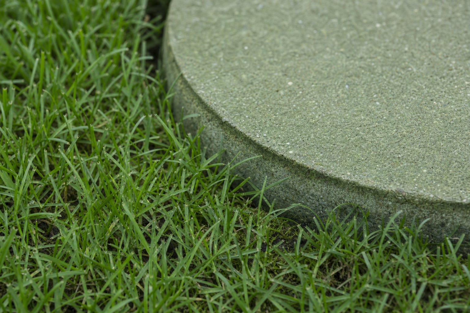 Annual Plant Service — Inspection cover with tidy surrounding ground